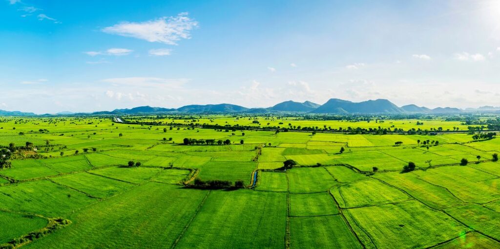 Industrial land for sale